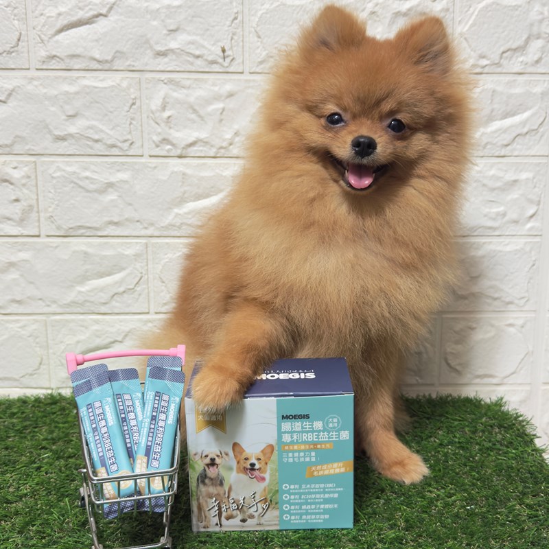 女人知己試用大隊,口碑行銷,部落客行銷,Moegis萌吉 腸道生機專利RBE益生菌,寵物益生菌,專利RBE益生元,專利蔬果酵素,小分子胜肽,藍藻粉,維持免疫力,幫助維持消化道機能,維持正常食慾,改變細菌叢生態,腸胃保健,犬貓適用